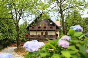 Гостиница Pomona Relaxing Nature Guest House, Рогашка Слатина